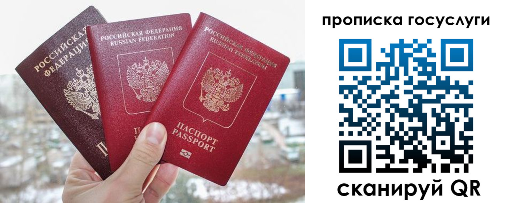 прописка законно в Киришах
